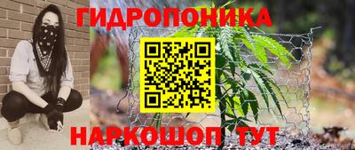 каннабис Гай