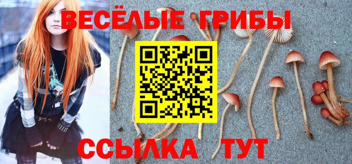 Псилоцибиновые грибы Psilocybe  Псилоцибиновые грибы ЛСД  Пенза  Вход с VPN 