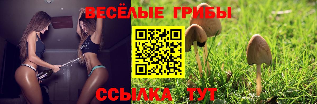 Галлюциногенные грибы MAGIC MUSHROOMS Пенза